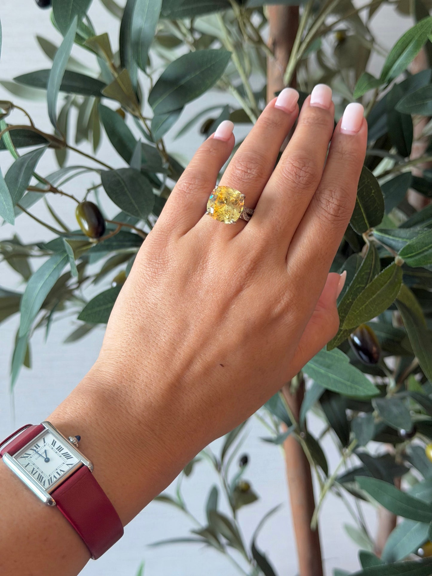 Sunshine Yellow Zircon Adjustable Ring